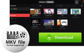 mkv player windows 10.